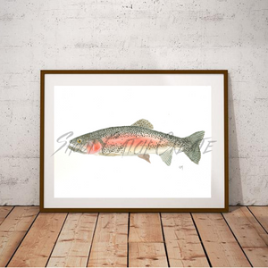 Rainbow Trout print